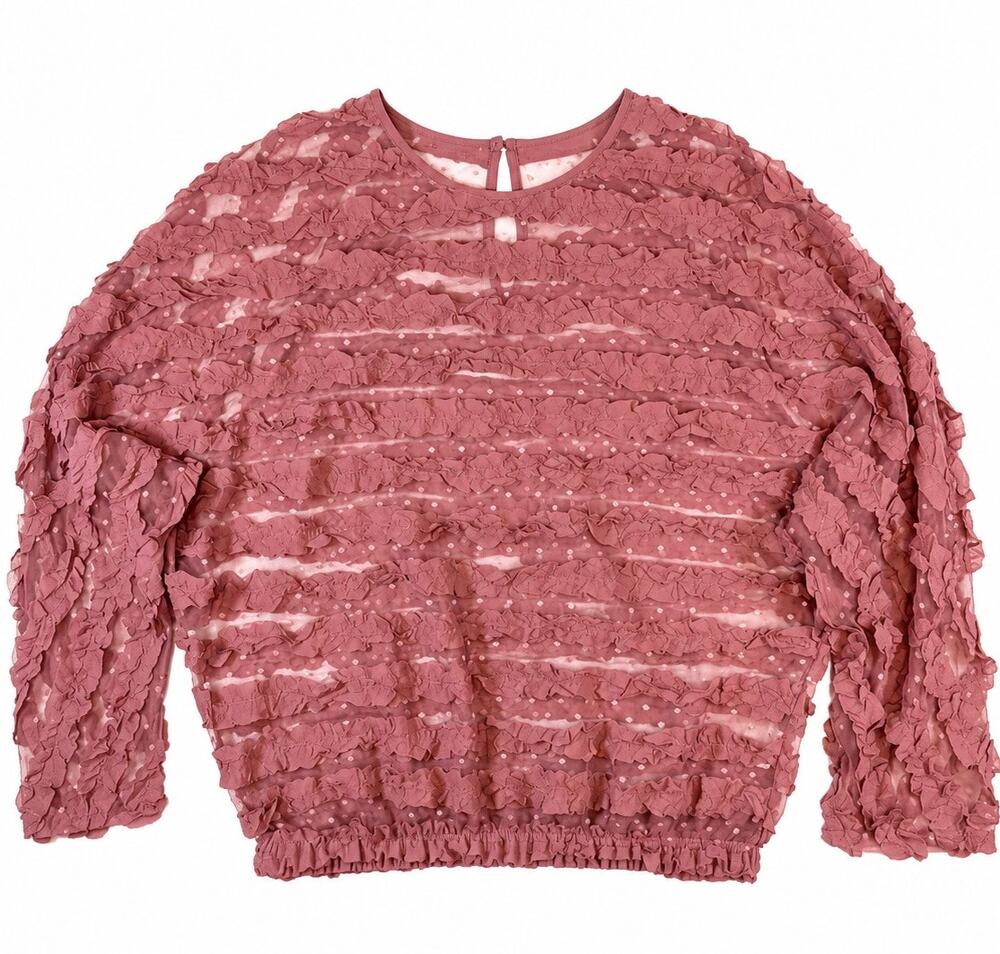 Zara Women’s S Dusty Rose Sheer Textured Mesh Ruffle Blouse Romantic